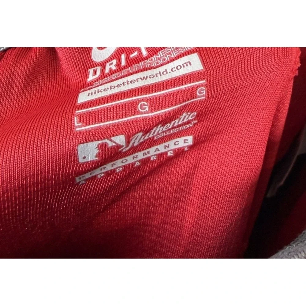 Washington Nationals Shorts Mens Large Nike Dri-fit‎ MLB Baseball Red Training